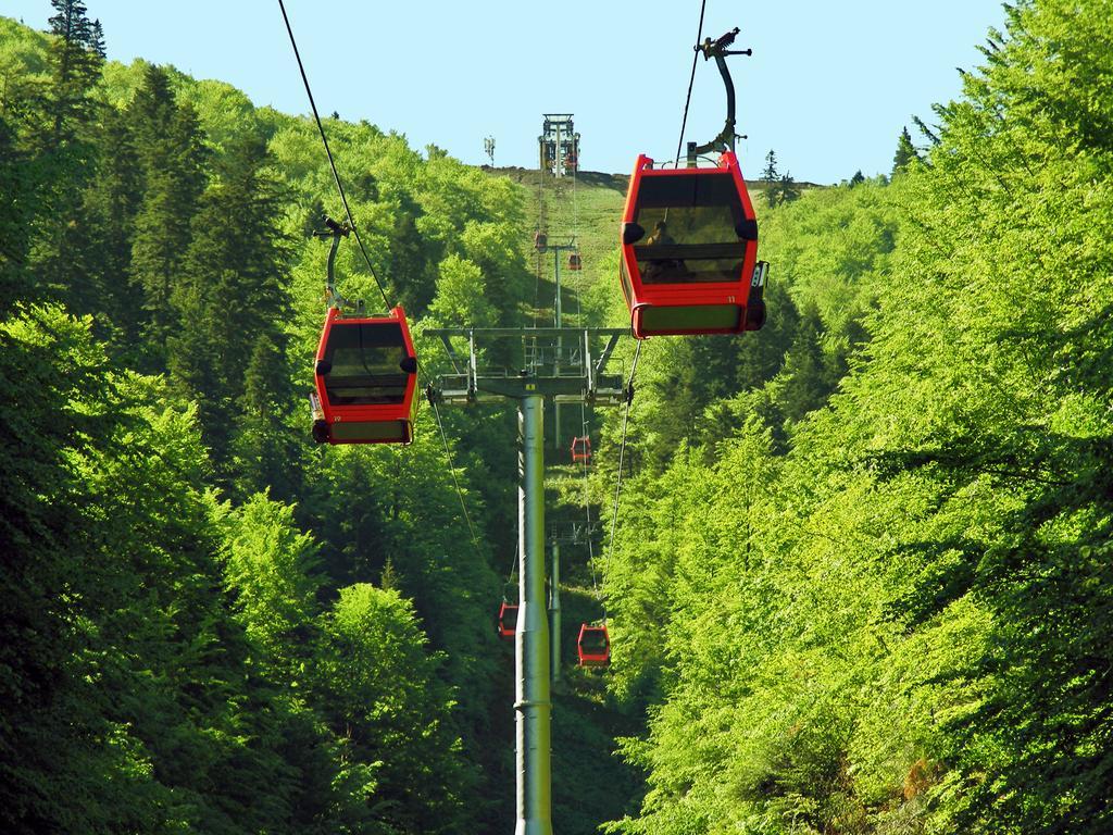 Azuga Ski & Bike Resort Εξωτερικό φωτογραφία